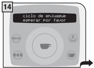 SAECO TALEA RING PLUS - Ciclo de descalcificación - 14