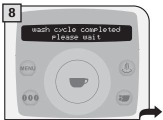 SAECO TALEA RING PLUS - THE WASH CYCLE CANNOT BE INTERRUPTED. A PERSON MUST BE PRESENT DURING THE OPERATION. - 8