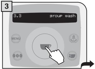 SAECO TALEA RING PLUS - THE WASH CYCLE CANNOT BE INTERRUPTED. A PERSON MUST BE PRESENT DURING THE OPERATION. - 3