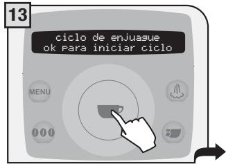SAECO TALEA RING PLUS - Ciclo de descalcificación - 13