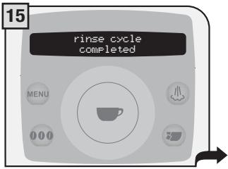 SAECO TALEA RING PLUS - A PERSON MUST BE PRESENT DURING THE OPERATION. WARNING! NEVER USE VINEGAR AS A DESCALER. - 15