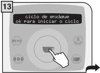 SAECO TALEA RING PLUS - ATENÇÃO! DE MANEIRA NENHUMA UTILIZE O VINAGRE COMO DESCALCIFICANTE. - 13