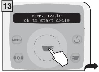 SAECO TALEA RING PLUS - A PERSON MUST BE PRESENT DURING THE OPERATION. WARNING! NEVER USE VINEGAR AS A DESCALER. - 13