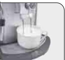 SAECO TALEA RING PLUS - SUMINISTRO DE CAPUCHINO - 24