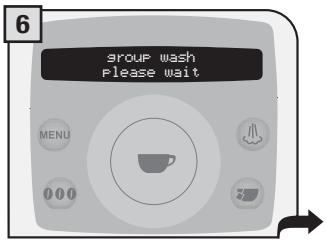 SAECO TALEA RING PLUS - THE WASH CYCLE CANNOT BE INTERRUPTED. A PERSON MUST BE PRESENT DURING THE OPERATION. - 6