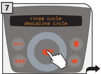 SAECO PRIMEA RING - WARNING! DESCALING MUST BE COMPLETED WITHIN 24 HOURS FROM ITS INTERRUPTION. - 9