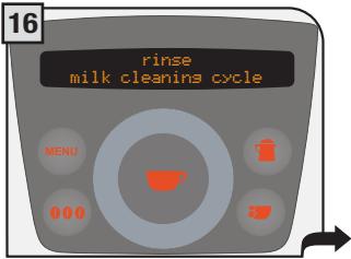 SAECO PRIMEA RING - Milk wash cycle - 16