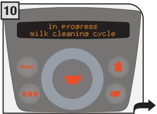 SAECO PRIMEA RING - Milk wash cycle - 10