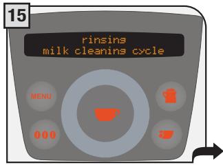 SAECO PRIMEA RING - Milk wash cycle - 15
