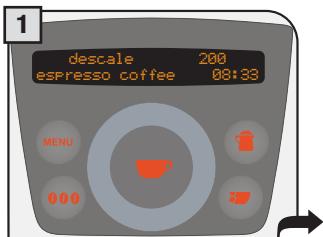 SAECO PRIMEA RING - WARNING! DESCALING MUST BE COMPLETED WITHIN 24 HOURS FROM ITS INTERRUPTION. - 1