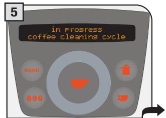 SAECO PRIMEA RING - Coffee wash cycle - 6