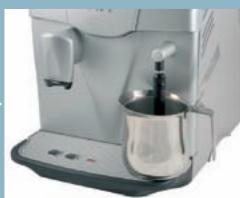 SAECO INCANTO - ENTSORGUNG - 41