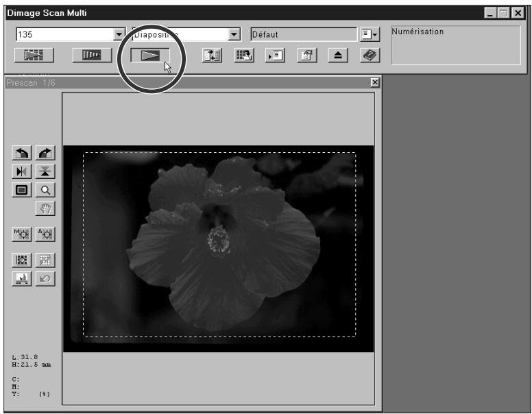 KONICA MINOLTA DIMAGE SCAN MULTI - Cliquez sur le bouton de numérisation dans la fenêtre de commandes. - 1
