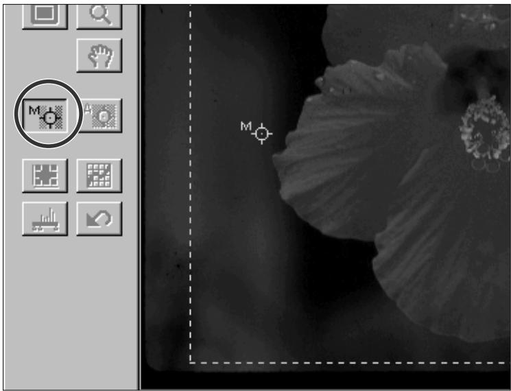 KONICA MINOLTA DIMAGE SCAN MULTI - Cliquez sur la zone de l'image à mettre au point. - 1
