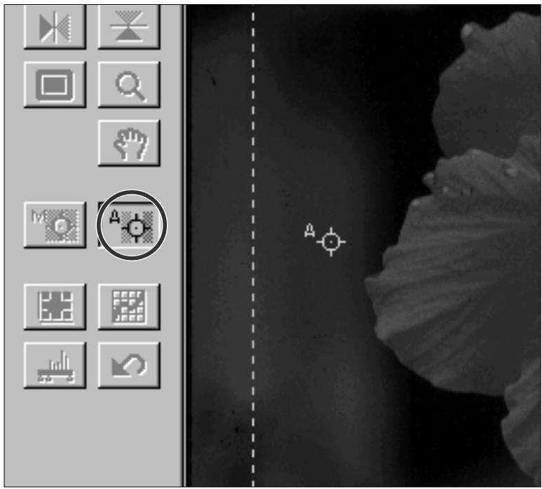 KONICA MINOLTA DIMAGE SCAN MULTI - Cliquez sur la partie de l'image que vous souhaitez mettre au point. - 1
