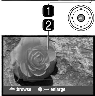 KONICA MINOLTA DYNAX 5D - ENLARGED PLAYBACK - 4