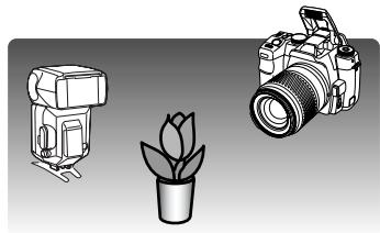 KONICA MINOLTA DYNAX 5D - Wireless / remote flash - 6