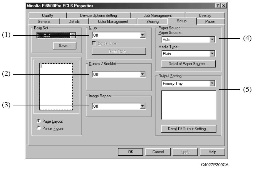 KONICA MINOLTA PI8500PRO - Functions of the Setup tab - 1