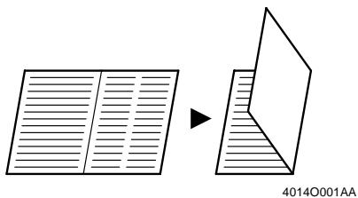 KONICA MINOLTA PI8500PRO - Features of the printer driver - 6