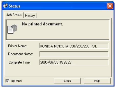 KONICA MINOLTA BIZHUB 250 PRINT - Status display - 1