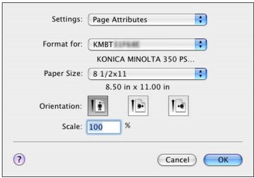 KONICA MINOLTA BIZHUB 250 PRINT - Specify settings for the following: - 1