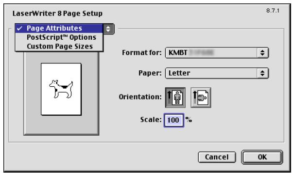 KONICA MINOLTA BIZHUB 250 PRINT - Page Attributes (basic settings) - 1