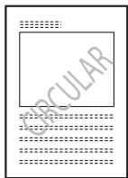 KONICA MINOLTA BIZHUB 250 PRINT - Watermark - 2