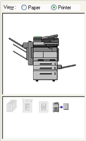 KONICA MINOLTA BIZHUB 250 PRINT - Common settings - 3