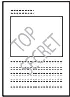 KONICA MINOLTA BIZHUB 250 PRINT - Watermark - 5