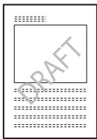 KONICA MINOLTA BIZHUB 250 PRINT - Watermark - 10