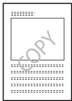 KONICA MINOLTA BIZHUB 250 PRINT - Watermark - 11