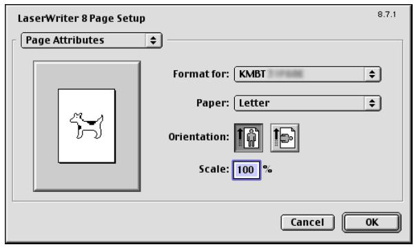 KONICA MINOLTA BIZHUB 250 PRINT - Page Attributes (basic settings) - 2
