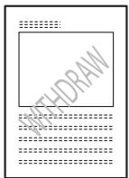 KONICA MINOLTA BIZHUB 250 PRINT - Watermark - 3