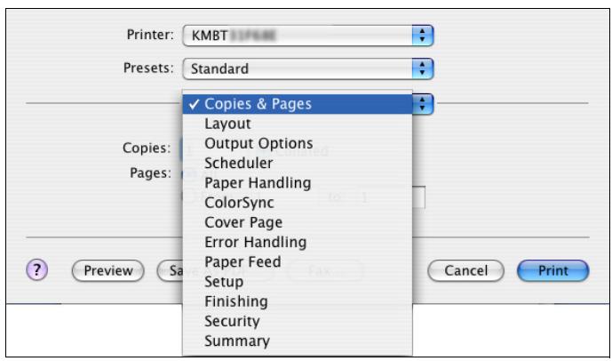 KONICA MINOLTA BIZHUB 250 PRINT - Copies &amp; Pages (Standard settings) - 1