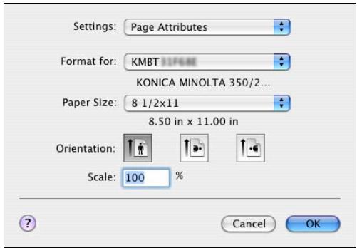 KONICA MINOLTA BIZHUB 250 PRINT - For Macintosh - 2