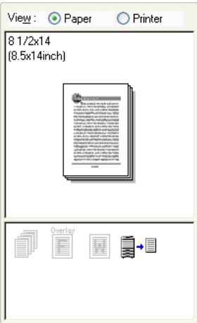 KONICA MINOLTA BIZHUB 250 PRINT - Common settings - 2