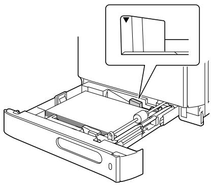KONICA MINOLTA BIZHUB C20P - Loading Plain Paper - 7