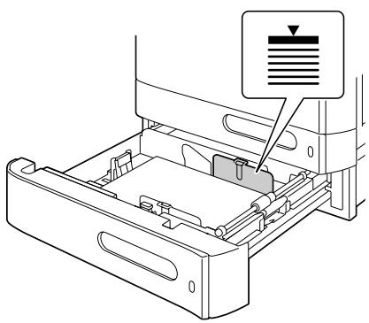 KONICA MINOLTA BIZHUB C20P - Loading Plain Paper - 6