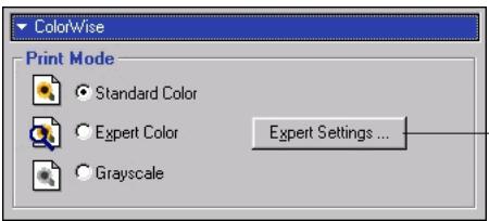 KONICA MINOLTA CN5001PRO - TO SET PRINT OPTIONS FOR WINDOWS - 1
