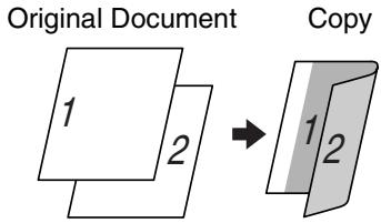 Original Document 1 2 Copy 1 2