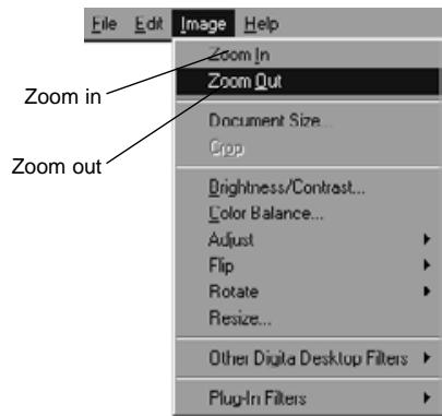 KONICA MINOLTA DIMAGE EX SOFTWARE - Other zoom methods - 2
