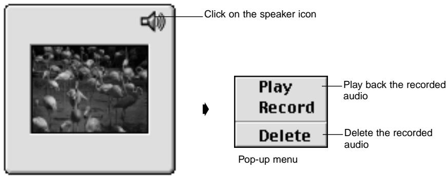 KONICA MINOLTA DIMAGE EX SOFTWARE - Click on the speaker icon to display the pop-up menu. - 1