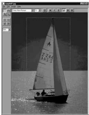 KONICA MINOLTA DIMAGE EX SOFTWARE - Click on the selection tool in the tool palette. - 2
