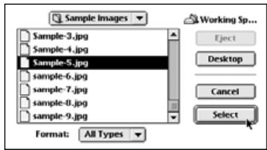 KONICA MINOLTA DIMAGE EX SOFTWARE - With the Macintosh - 2