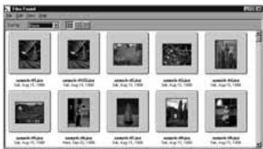 KONICA MINOLTA DIMAGE EX SOFTWARE - Enter the name of the desired file or directory in the file search window. - 3