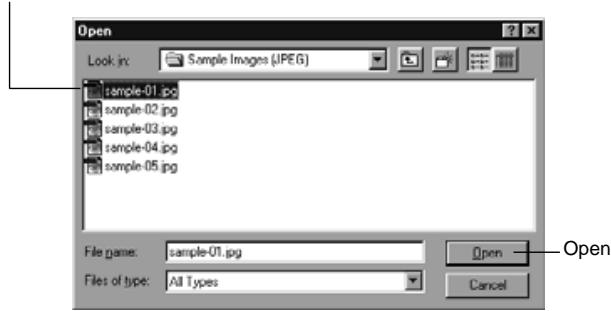 KONICA MINOLTA DIMAGE EX SOFTWARE - Adding an Image File - 1
