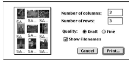 KONICA MINOLTA DIMAGE EX SOFTWARE - Printing,Th弹簧 Images - 2