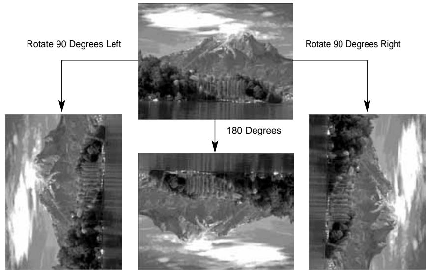KONICA MINOLTA DIMAGE EX SOFTWARE - Select Rotate from the Image menu, and then select 90 Degrees Left, 90 Degrees Right, or 180 Degrees (Macintosh: 180 Degrees, 90^ counter clockwise, 90^ clockwise). - 2