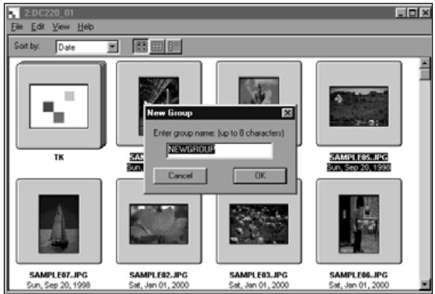 KONICA MINOLTA DIMAGE EX SOFTWARE - Enter the name of the group in the window and click on OK. - 1