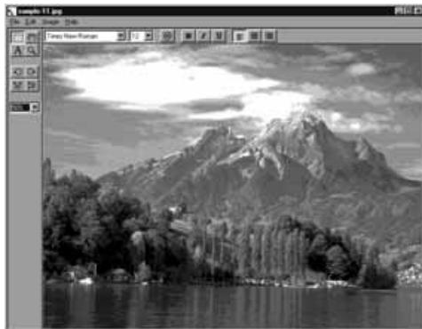 KONICA MINOLTA DIMAGE EX SOFTWARE - Click on Open to open the image panel and display the selected image in full screen size. - 1